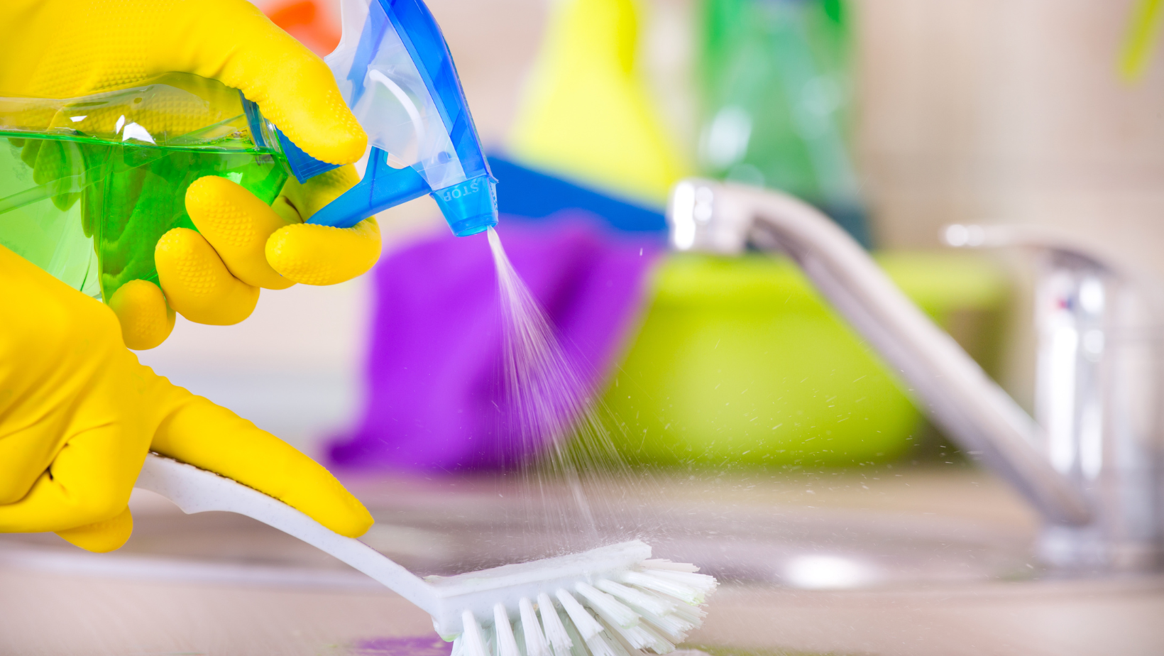 domestic cleaning services