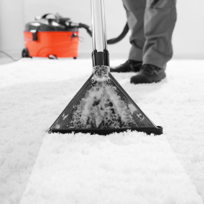 How a Thorough Carpet Clean Can Benefit Your Health