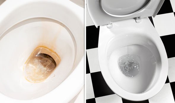 How to Clean a Toilet 