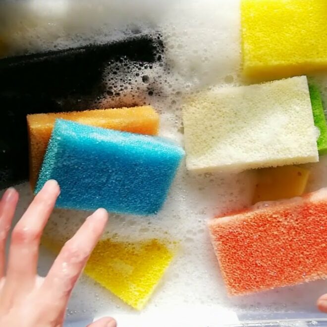 Sponge Secrets: The Do’s and Don’ts