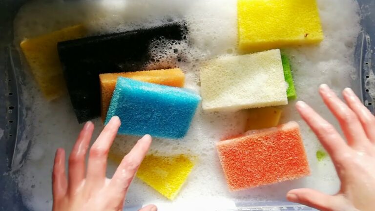 Sponge Secrets: The Do’s and Don’ts