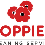 Domestic Cleaning Service in Nottingham