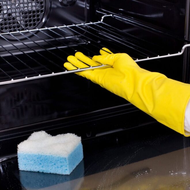 Professional oven cleaning services