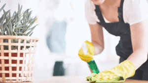 Make Your Home Sparkle with Poppies Cleaning Services in the Peak District