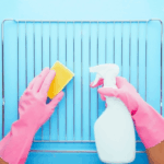 Oven Cleaning 101: Essential Tips for a Fresh and Clean Kitchen