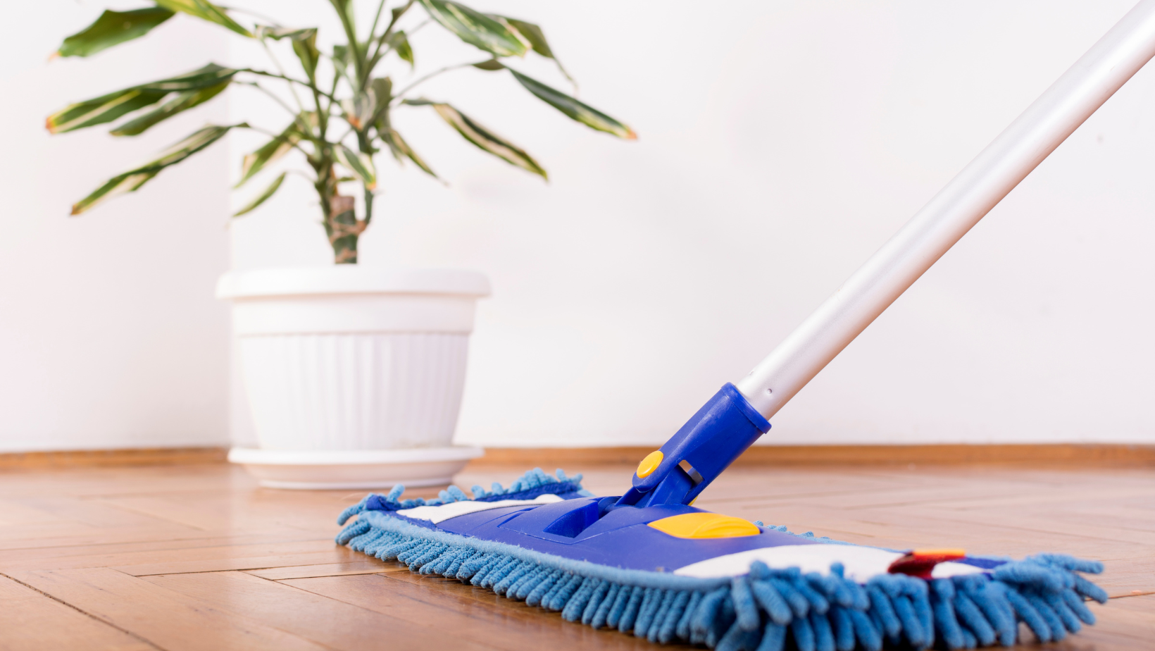 hardwood floor cleaning