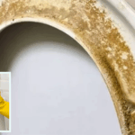 Ultimate Guide to Removing Toilet Seat Stains: Top Cleaners and the Magic Eraser Solution