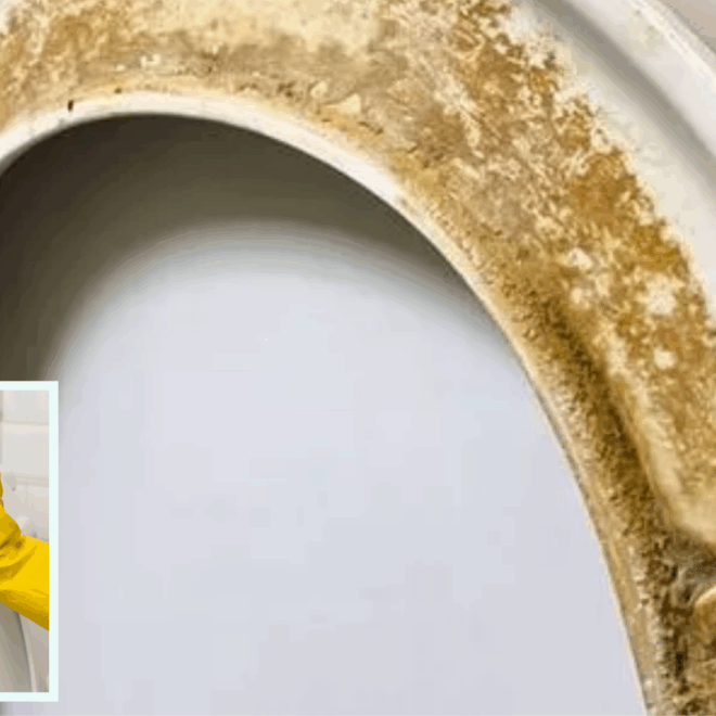 Ultimate Guide to Removing Toilet Seat Stains: Top Cleaners and the Magic Eraser Solution