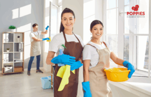 How Professional Domestic Cleaning Services Can Transform Your Enfield Home — Poppies Cleaning Services Enfield