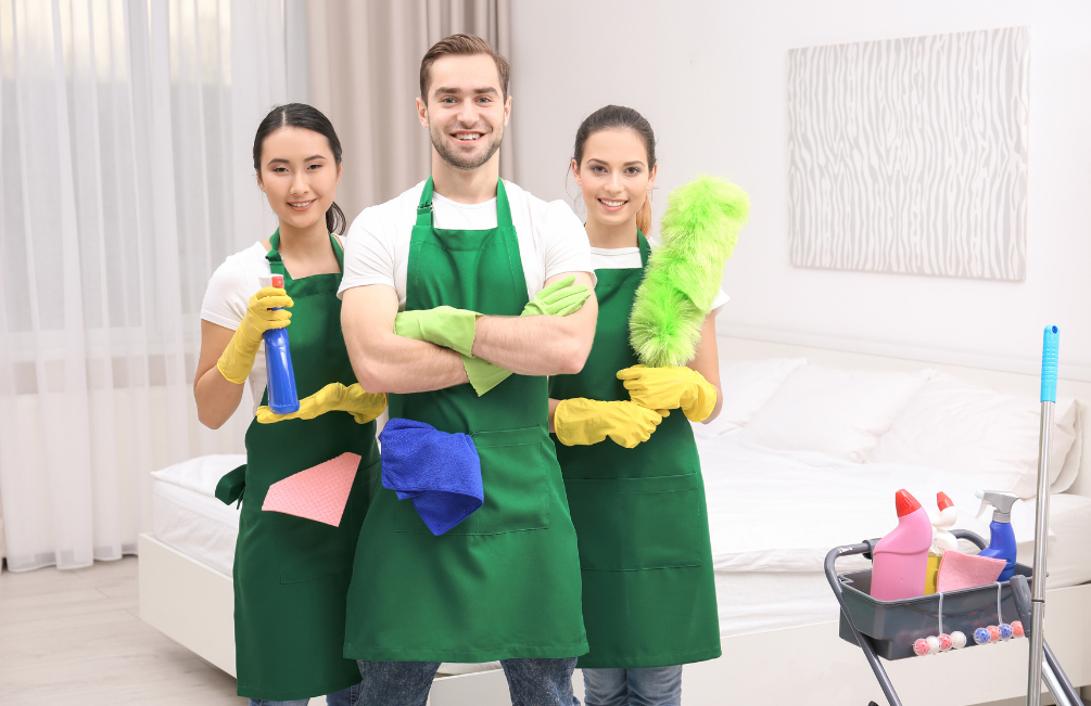 Domestic cleaning services