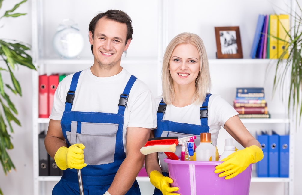 Domestic cleaners