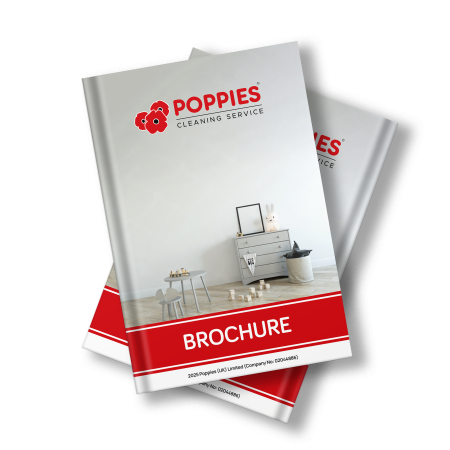 BROCHURE (1)