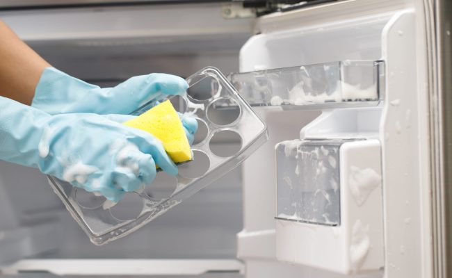 Employees,Use,A,Cloth,To,Clean,The,Refrigerator.